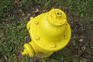 Hydrant