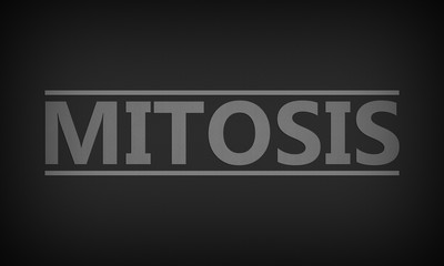Mitosis