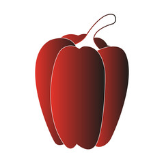 Pepper fresh vegetables vector illustration graphic design