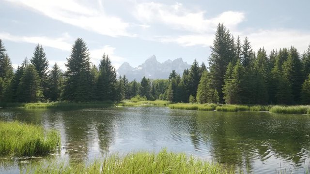 afternoon shot of a pond at schwabachers landing in grand teton national park in the united states