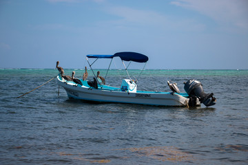 El descanso antes de comer
