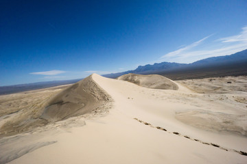 Fototapeta na wymiar Mojave National Preserve in California
