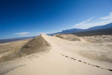 Mojave National Preserve in California
