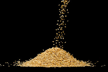 Rice falling