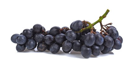 Blue wet Isabella grapes bunch isolated on white background