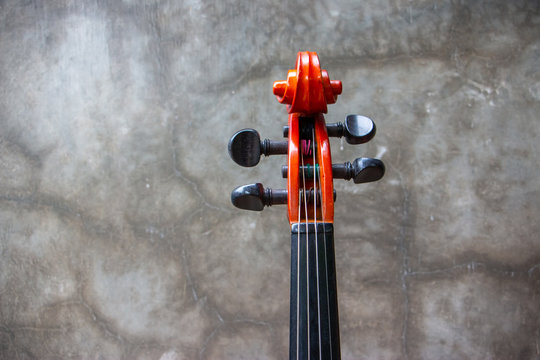 The photo of a parts of a violin. The wooden instrument close up photo.