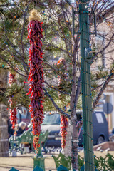 Picturesque Santa Fe New Mexico