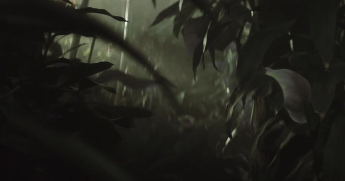 Shot on Red 6k 85fps