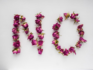 dry roses on white background