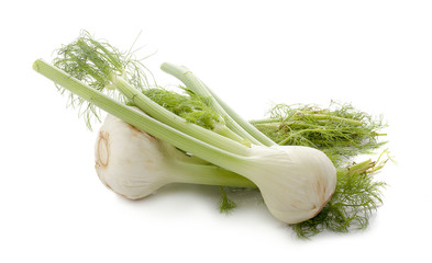 Fennel isolated on white background