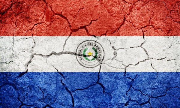 Republic of Paraguay flag