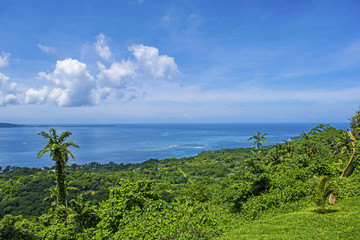 view over the ocean from a hilltop. 