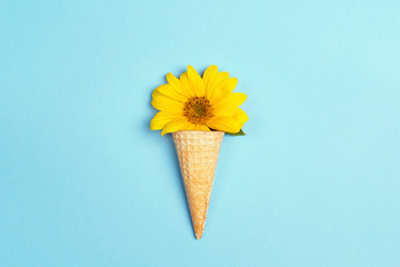 Waffle cone with sunflower on blue background.