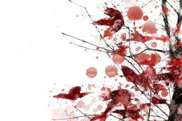 Abstract illustration of trees in autumn with watercolor drops. Read leaves in fall season.