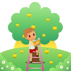 Picking apple fruit illustration