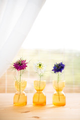 Three flowers on vases lon a table