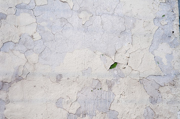 Old concrete wall with rust and cracks
