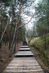Fototapeta na wymiar A walkway made of wood leading into a forest in a cloudy afternoon