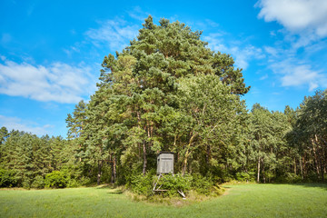 Wooden deer hunting stand on the edge of a forest.