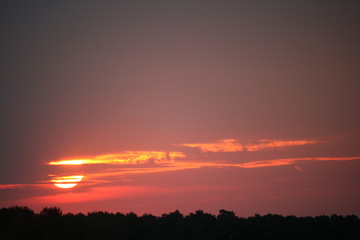 Sonnenaufgang über Wald 1