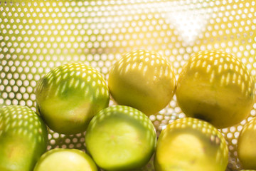 Love yellow lemons in bucket