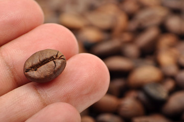 Roasted Coffee Bean