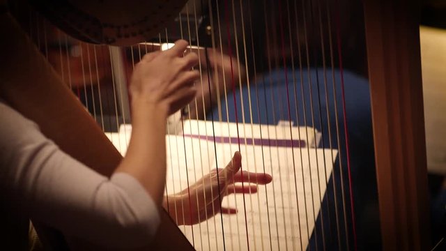 Harpist playing in Classical Harp in a live recording session