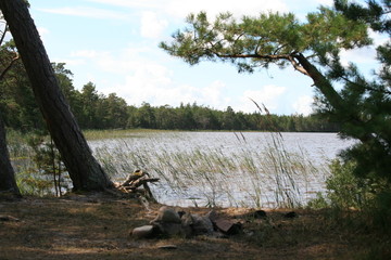 großer See im Baltikum 6