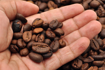 Roasted Coffee Bean