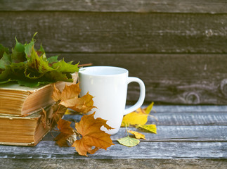 Autumn background with dry leaves, white cup with drink, rain drops on dark brown bench. Copy space, side view