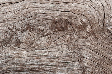 Texture of old wooden natural background