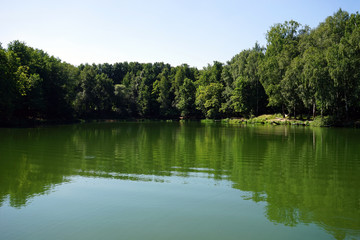 Fototapeta na wymiar Pond and tree