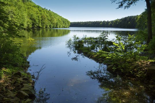 Fototapeta Crescent Lake reservoir in Meriden's Giuffrida Park.