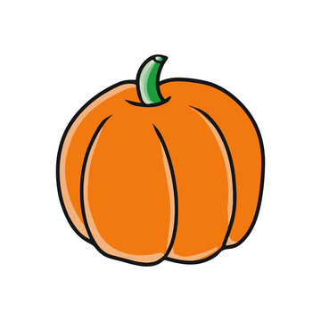 cartoon vector pumpkin illustration rough style