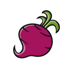cartoon vector  simple ilustration beetroot