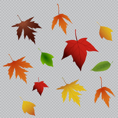 Fototapeta na wymiar Vector background with red, orange, brown and yellow falling autumn leaves. Templates for posters, banners, flyers, presentations, reports. Autumn leaves. Autumn design.