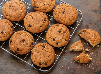 Home freshly baked oatmeal and chocolate chips cookies on cooling rack. Healthy snack for Breakfast