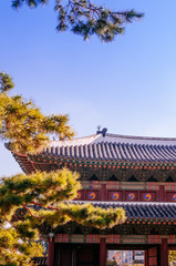 Fototapeta na wymiar Old gate and building of Changdeokgung Palace, Seoul, South Korea