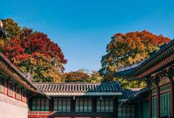 Obraz premium Red hall of Changdeokgung Palace, Seoul, South Korea