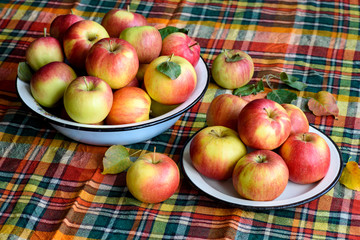 Yellow-red apples in a dish on a table with a checkered tablecloth
