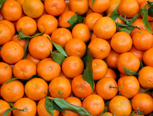 background of orange mandarins from Sicily at the fruit market