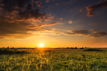 Vibrant sunset over field 