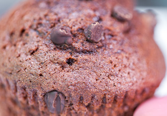 chocolate cupcake
