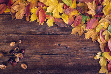 Naklejka na ściany i meble Autumn background, space for text