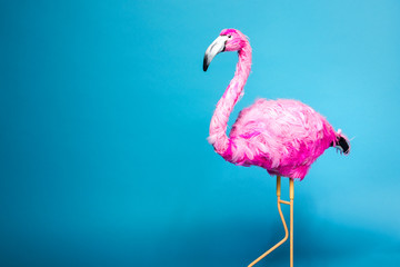 trend ceramic pink flamingo on the blue wall background like graphic resource
