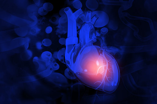 Human heart on scientific background