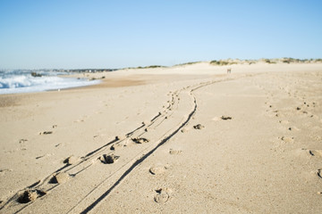 Path in the sand