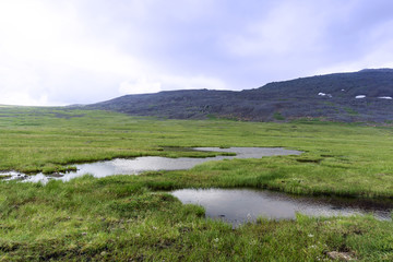 Fototapeta na wymiar Raised bog with an open water lake in the mountain tundra