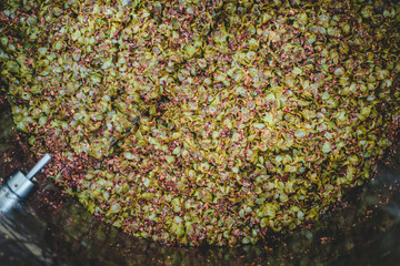 Remaining Wat hop in the Boiled Worth of an IPA