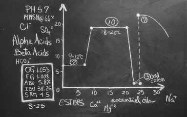 Beer Science ! Black Board with Graph, Data and Specs about the Production and Fermentation Process.